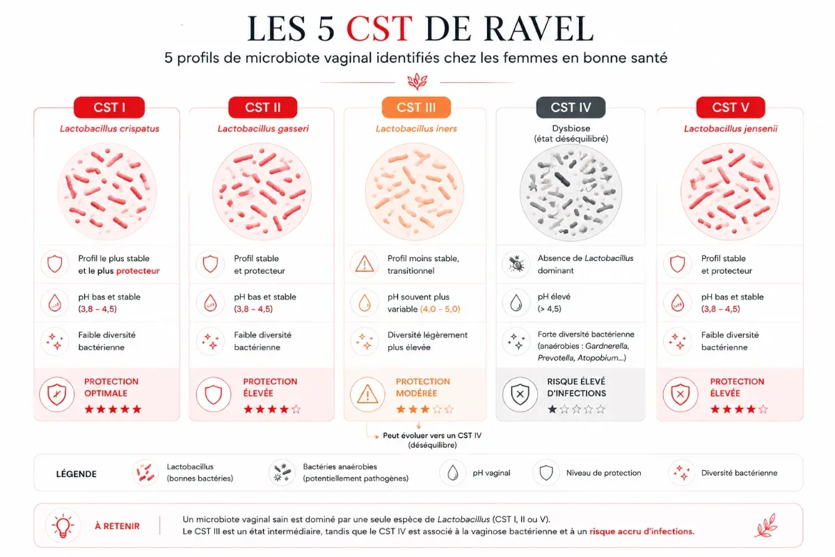 Les 5 profils CST de Ravel