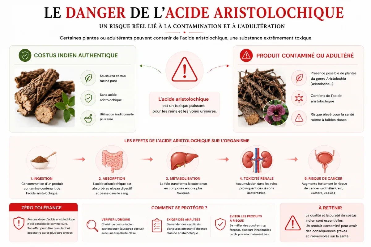 Toutes les informations sur le danger de l'acide aristolochique