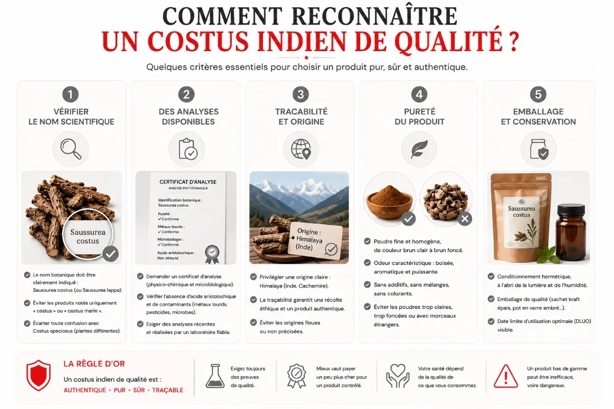 Les 5 vérifications pour reconnaître un costus indien de qualité