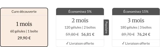 Formats de cure Noobiotik avec les prix pour 1 mois, 2 mois et 3 mois