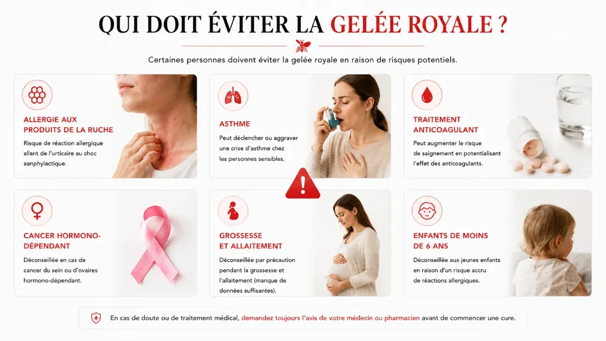 Gelée royale fraîche et gelée royale lyophilisée en ampoules