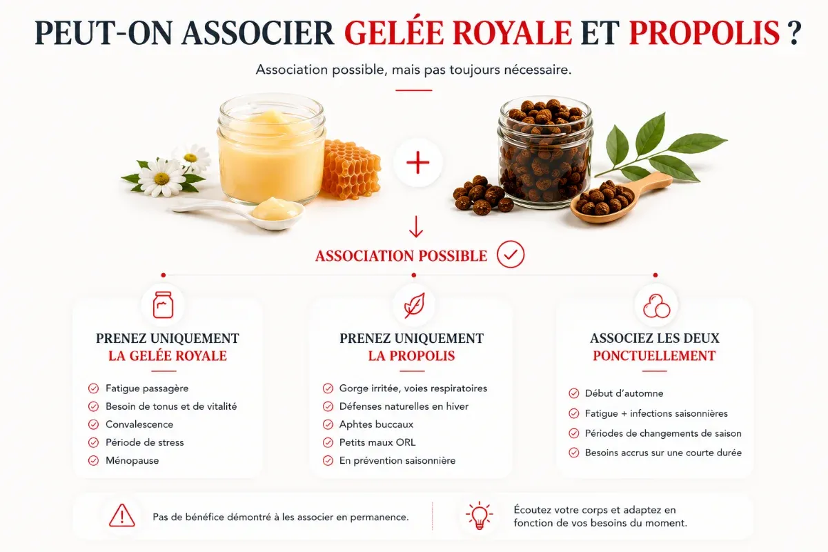 Choisir entre gelée royale et propolis selon sa situation