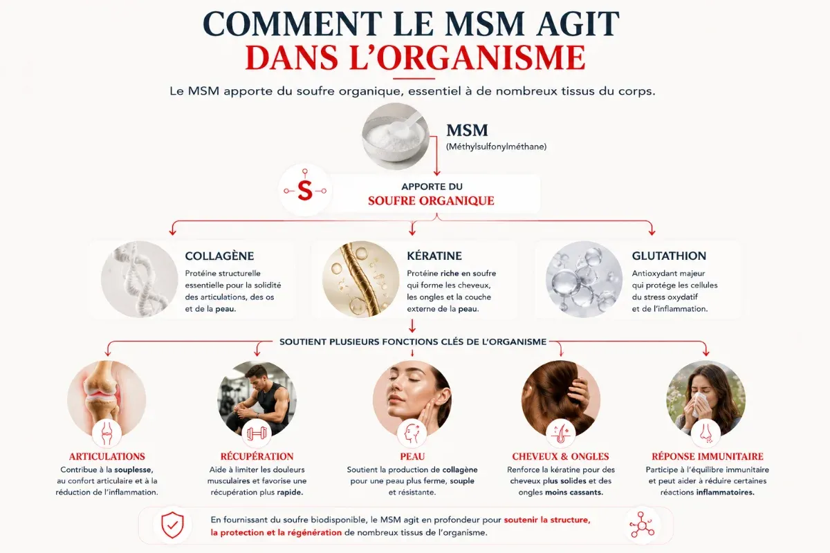 MSM pour la peau, les cheveux et les ongles