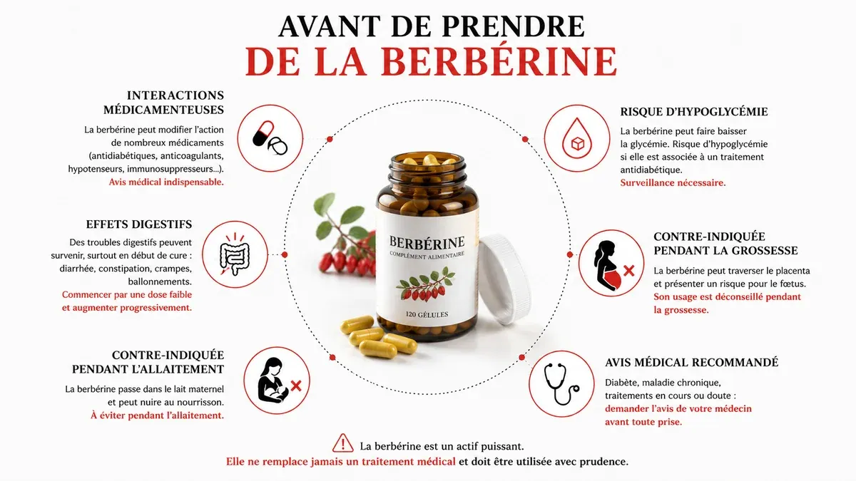 Infographie : Comment prendre la berbérine : dose et moment