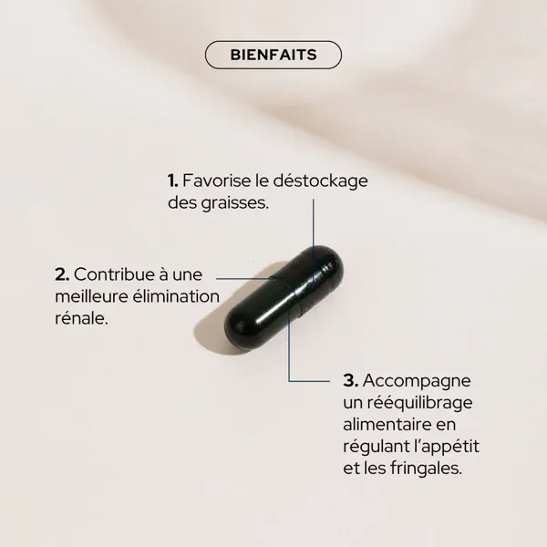 Les trois actions de la Cure perte de poids Epycure sur une gélule