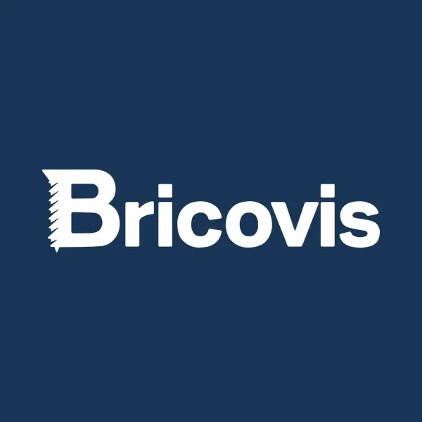 Logo Bricovis