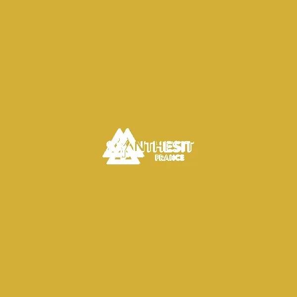 Logo Synthesit