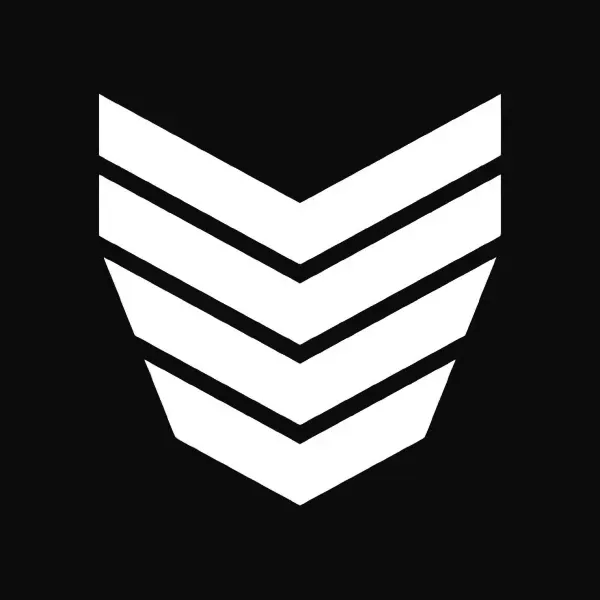 Logo Down Skis