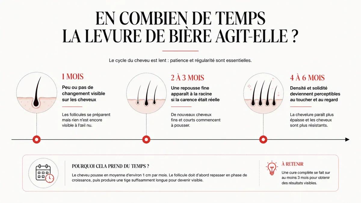 Infographie : Combien de temps avant de voir un résultat