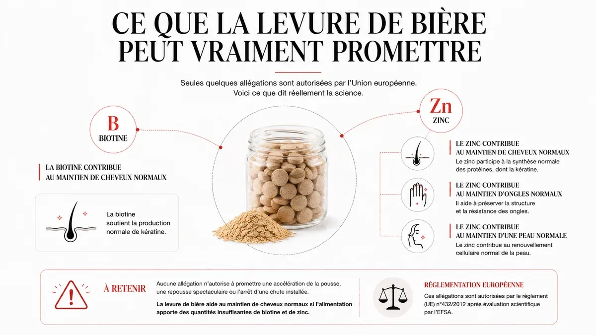 Infographie : Ce que la réglementation autorise vraiment à promettre