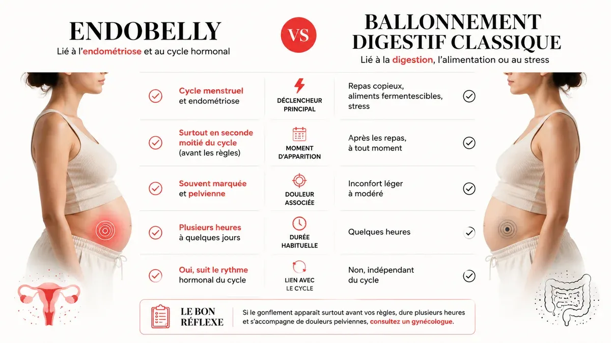 Infographie : Endobelly ou ballonnement banal : comment faire la différence