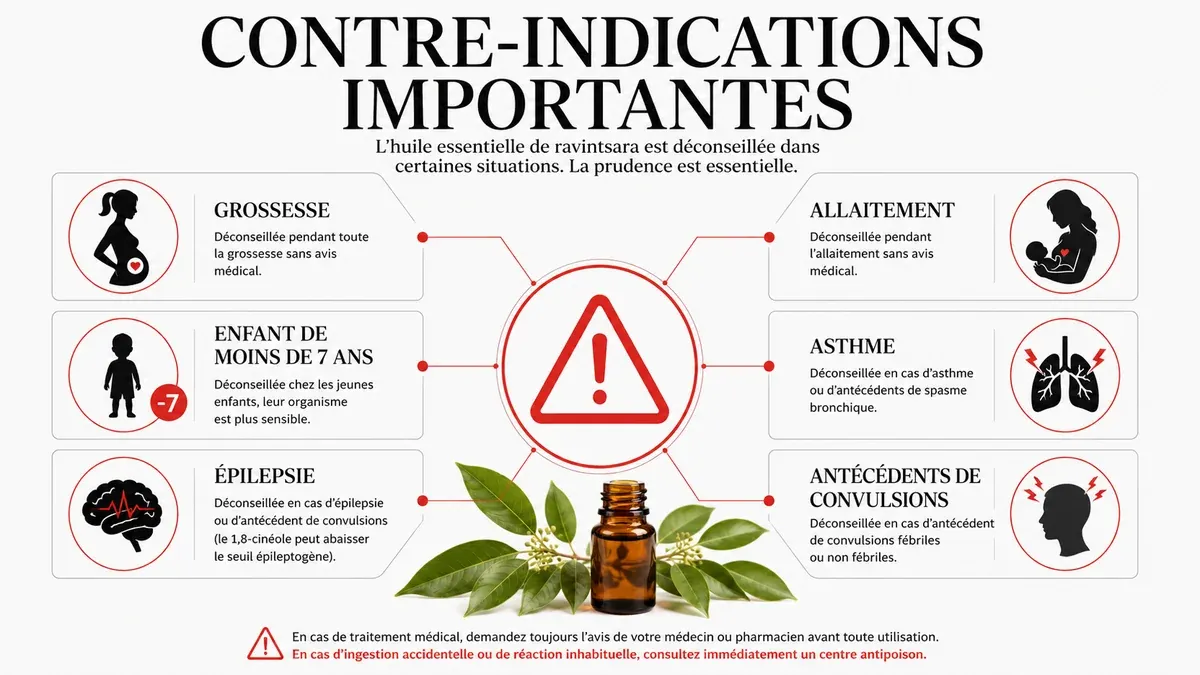 Infographie : Contre-indications du ravintsara : les précautions à connaître avant utilisation