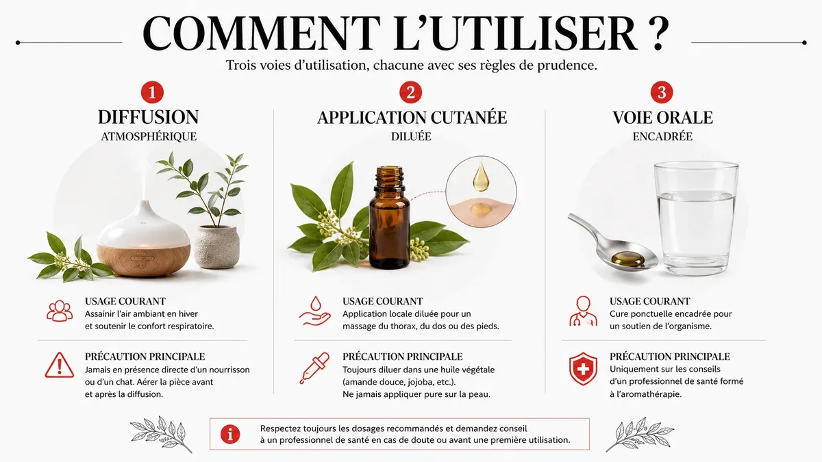 Infographie : Comment utiliser l'huile essentielle de ravintsara : les voies d'administration