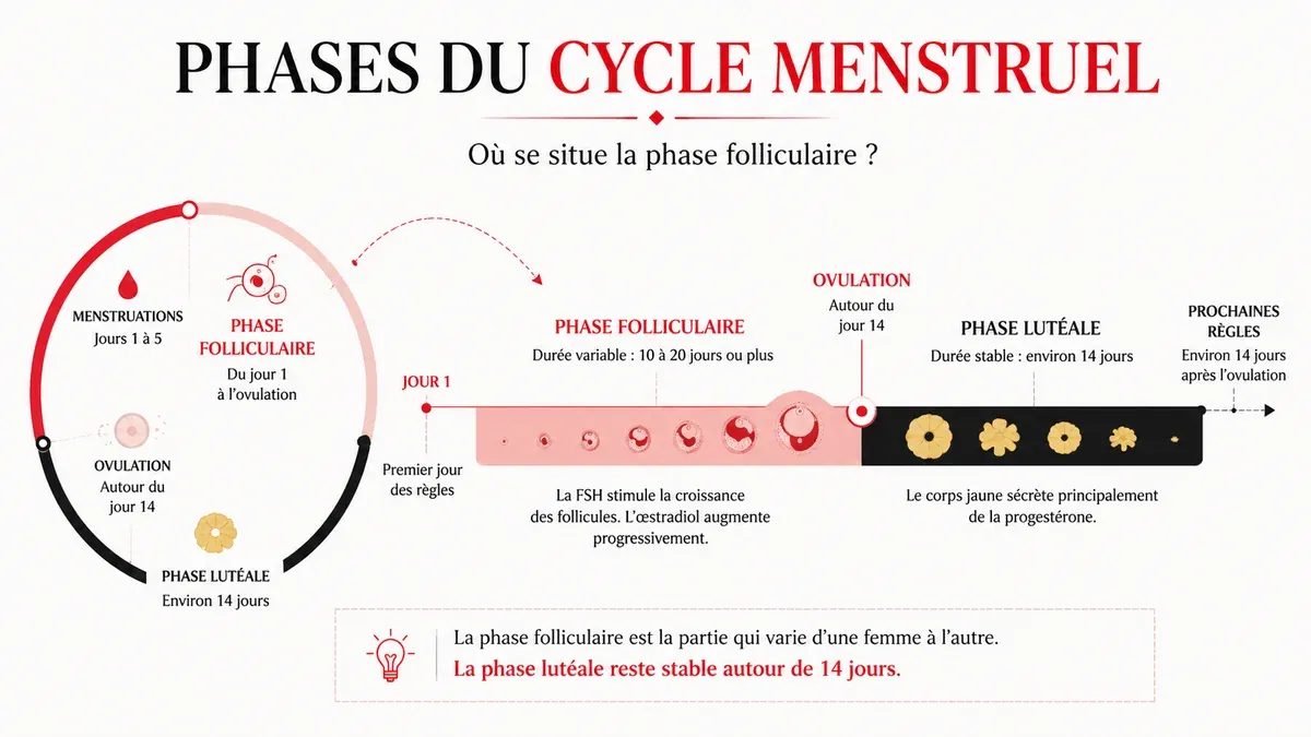 Infographie : Quand elle commence et quand elle se termine