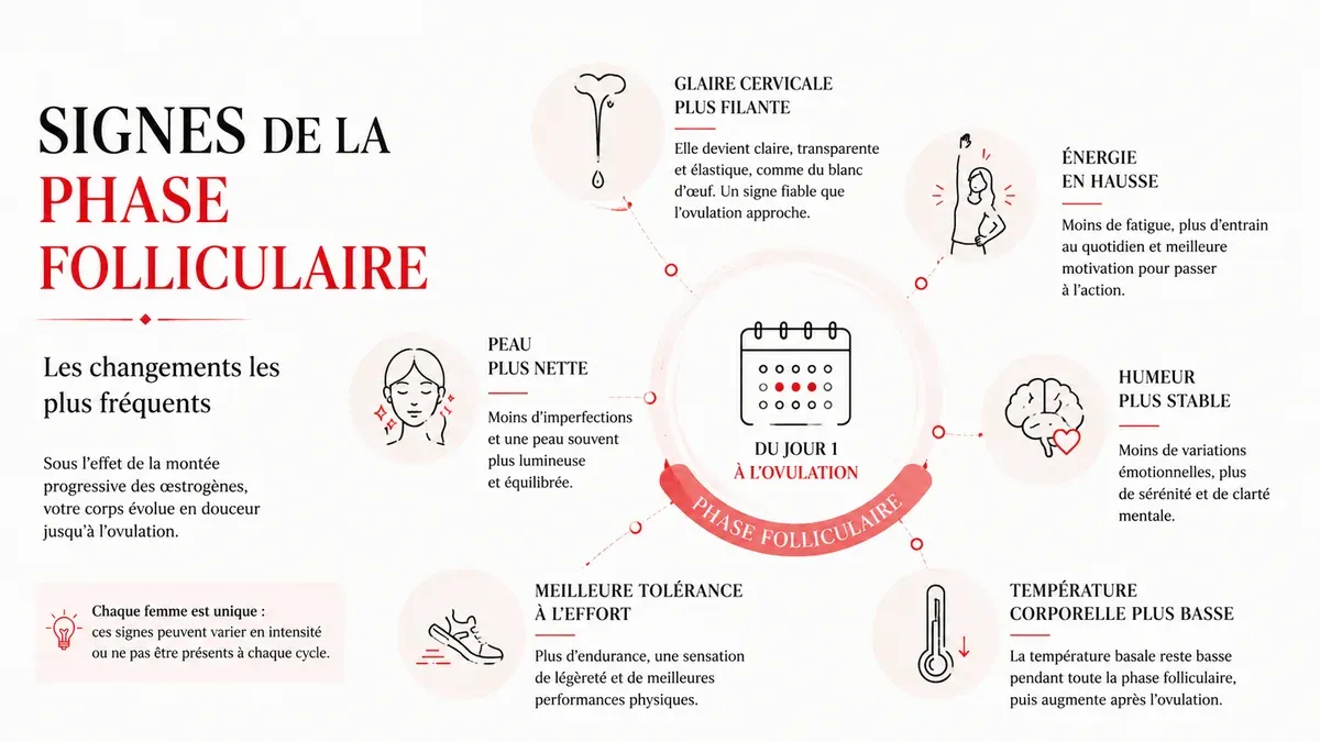 Infographie : Ce que vous pouvez ressentir pendant cette phase