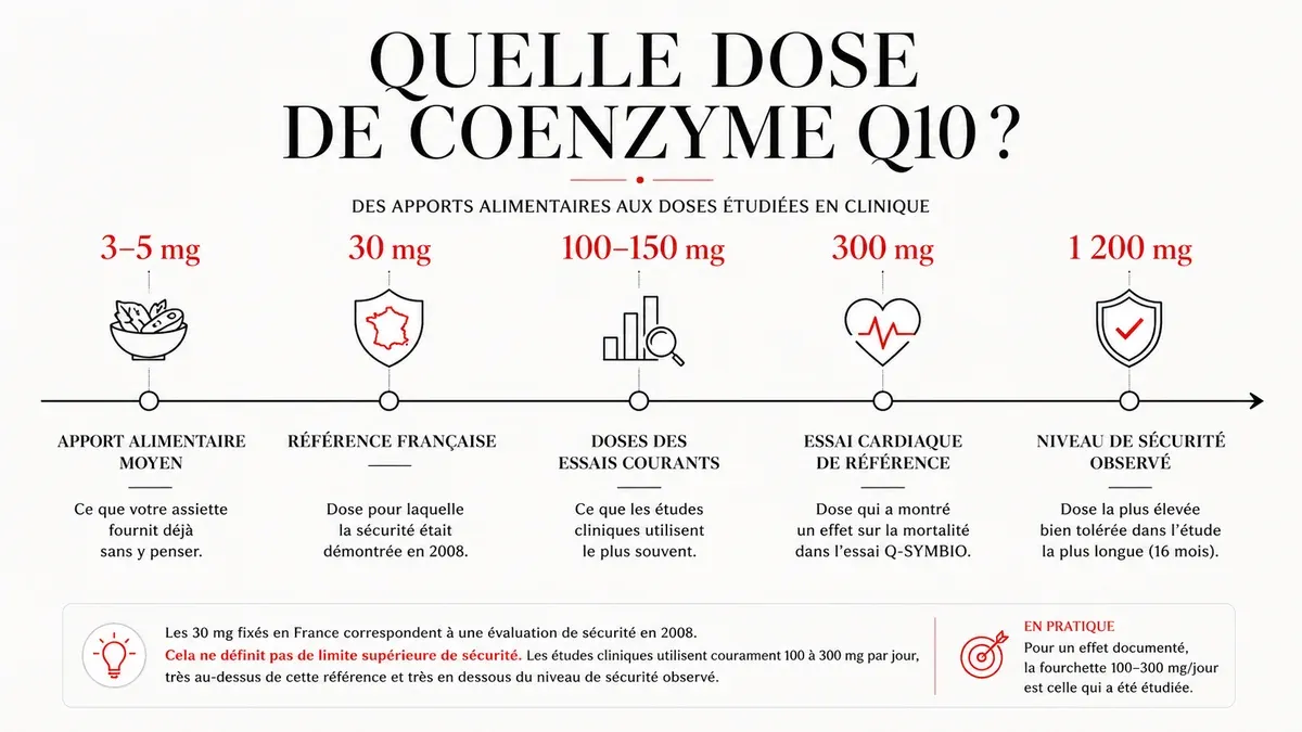 Infographie : Quelle dose de coenzyme Q10 par jour, entre 30 et 300 mg