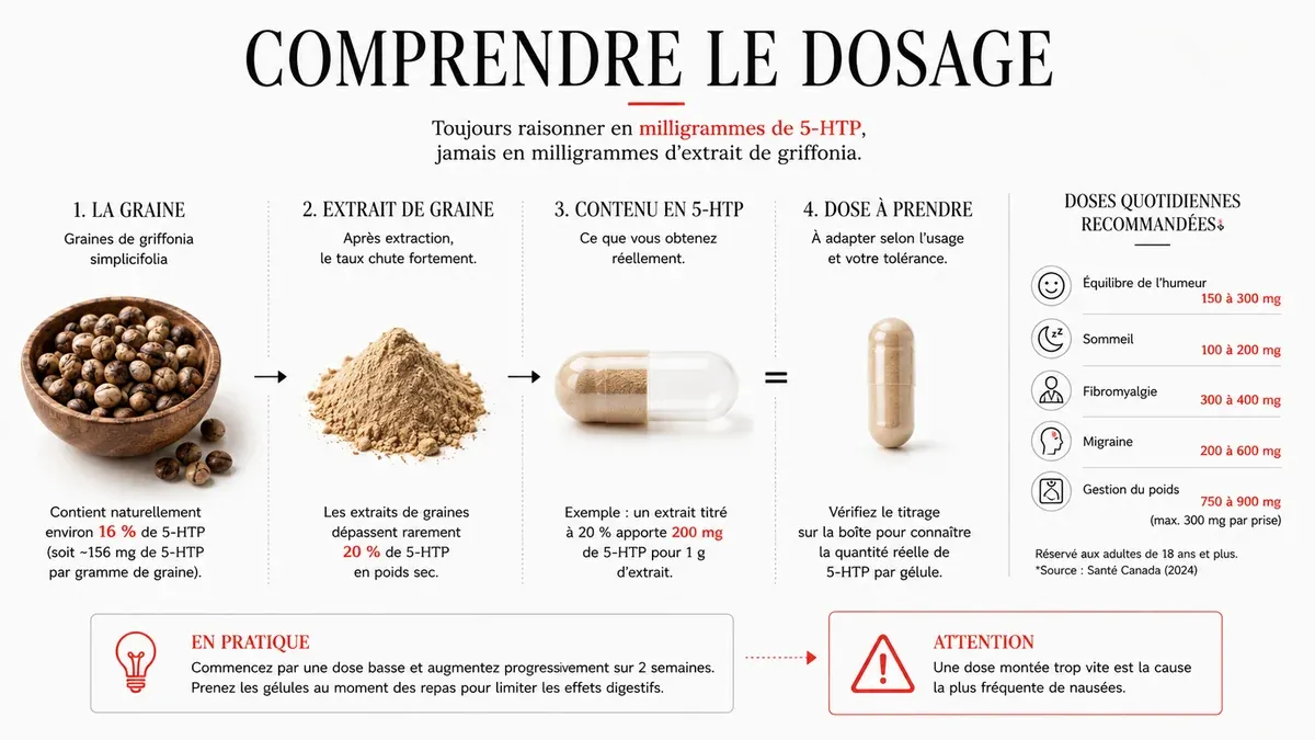Infographie : Quelle dose de griffonia et au bout de combien de temps