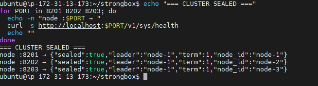 StrongBox cluster health check