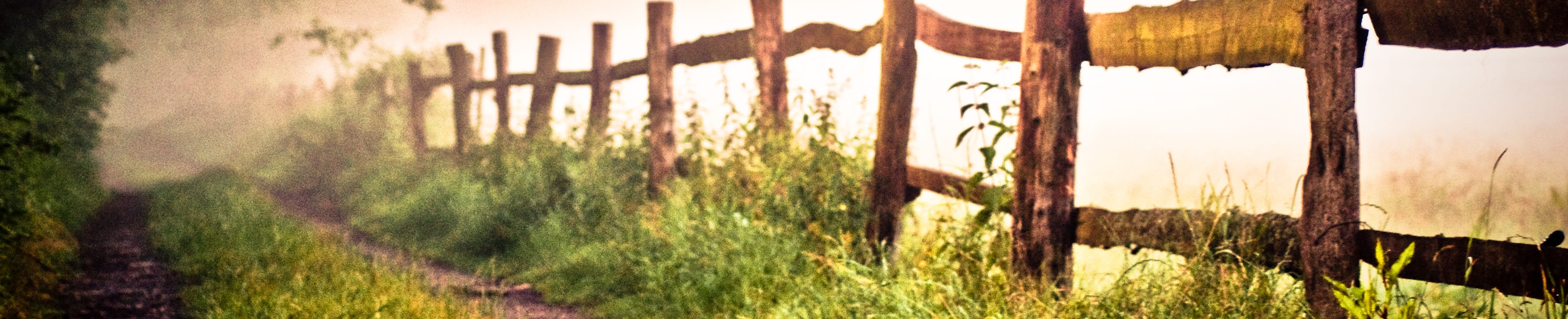 Footpath by fence in field against sky