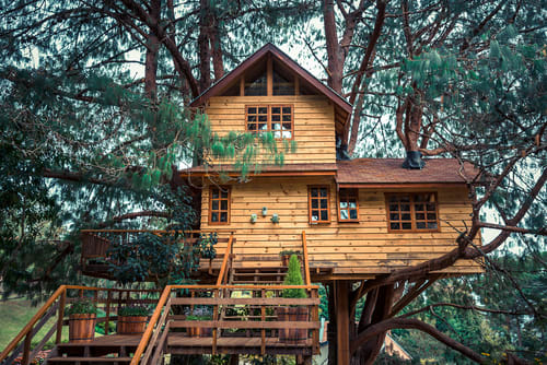 Tree deluxe house — photo 2