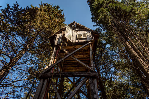 Tree deluxe house — photo 3