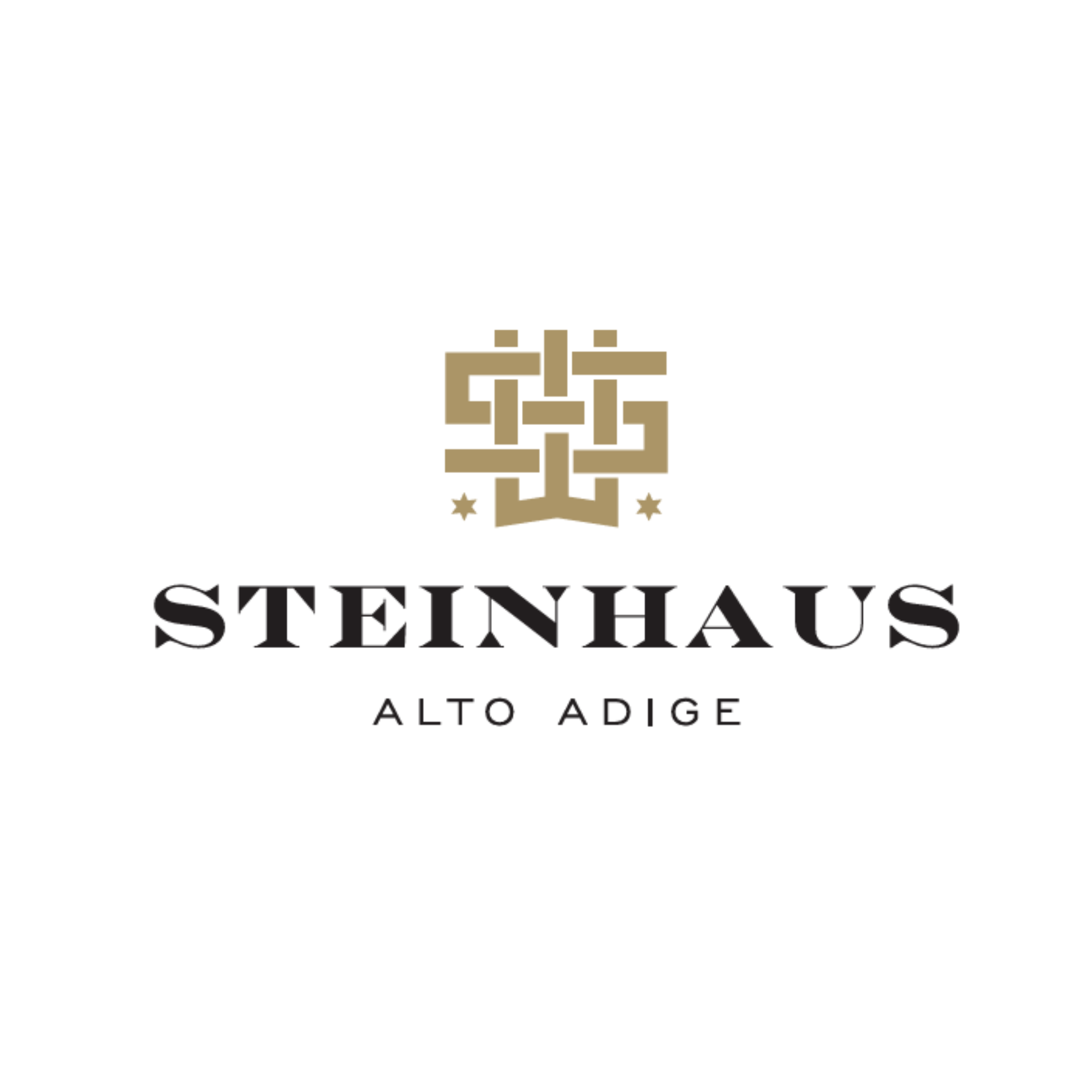Steinhaus Logo