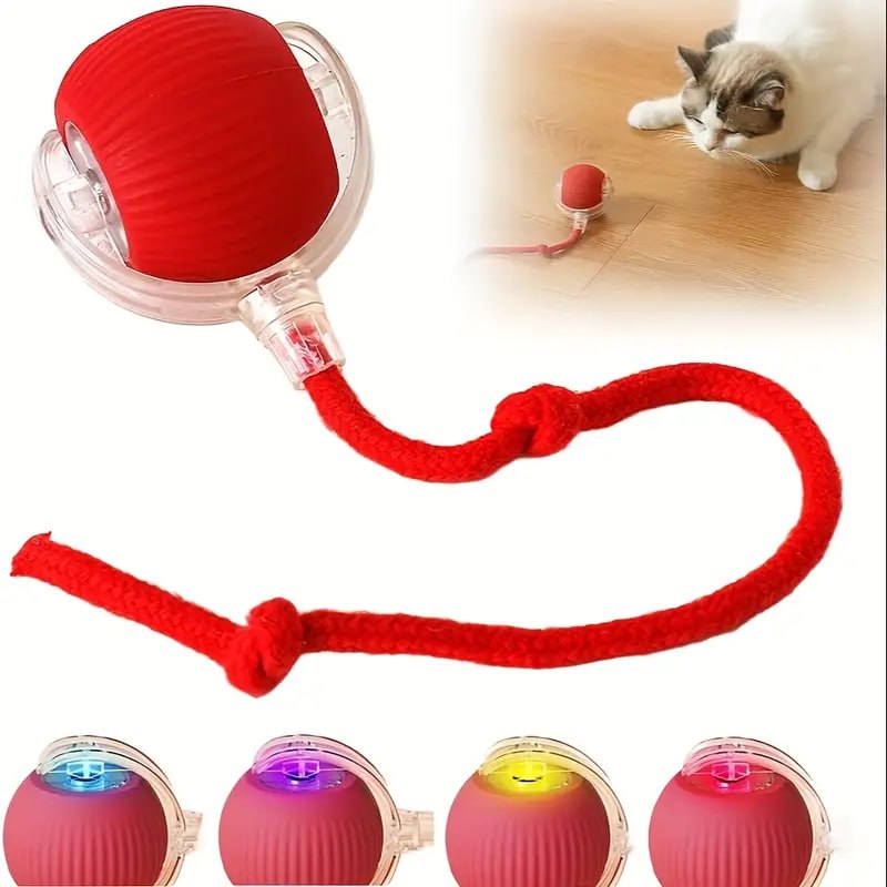 CAT BALL