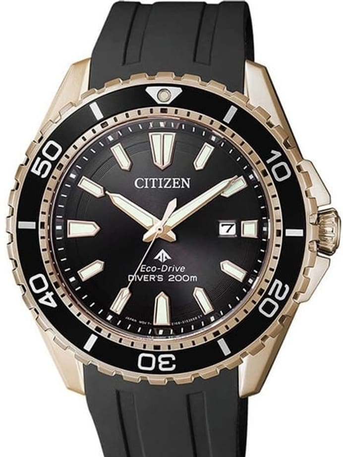 Citizen Eco-Drive Promaster 200 Meter Scuba Diver Watch with Dive Strap #BN0193-17E