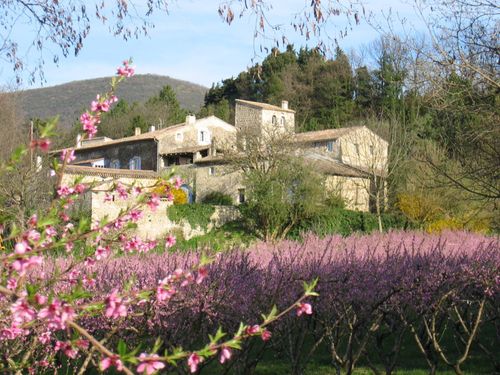 Photo du gite de mirmande dans la lavande