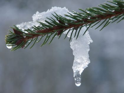 В Пермский край пришел бывший циклон 