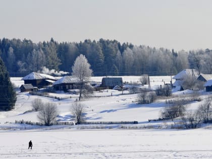 Мороз прогулкам не помеха