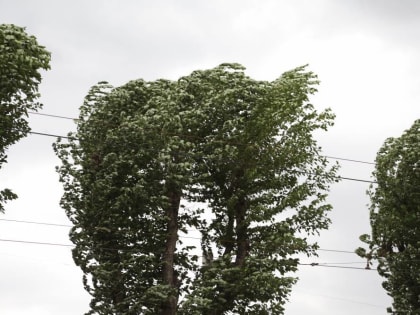 В администрации Перми рассказали об устранении последствий сильного ветра