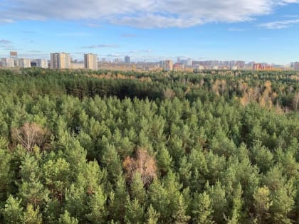 У «сползавшего» в Егошиху дома в Перми установили подпорную стенку