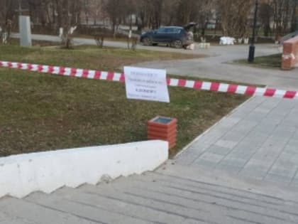 Территорию города обработали от клещей