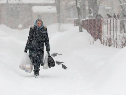 В Прикамье морозы сменят снегопады, метели и сильный ветер