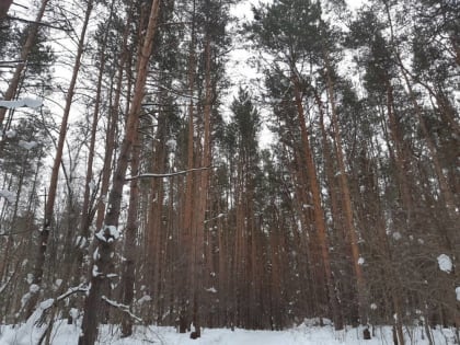 В Перми завершились поиски пропавшего 12-летнего мальчика