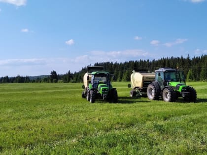 Хозяйства Кунгурского округа приступили к сенокошению и заготовке кормов