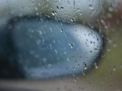 ​Умеренно тепло и дождливо: метеорологи рассказали о погоде в Пермском крае на следующей неделе