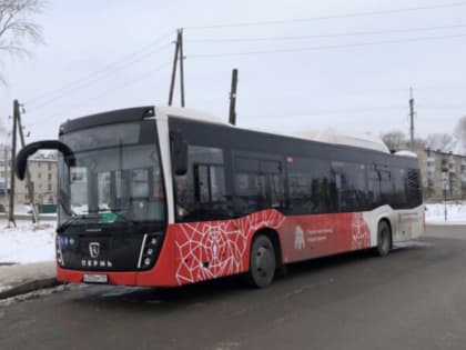 Пермские власти ищут подрядчика для обслуживания автобусных маршрутов под номерами 38 и 75