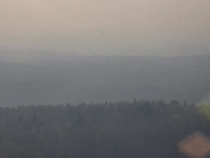 За последние сутки в Прикамье зарегистрировали три очага лесных пожаров