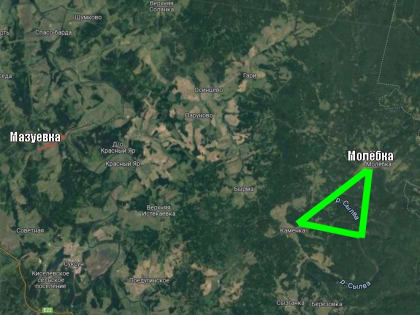 Карантин по бешенству введен недалеко от Пермской инопланетной зоны – «Молёбского треугольника»