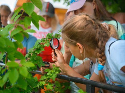 «Экосезоны» в «Хохловке»: исследование природы музея