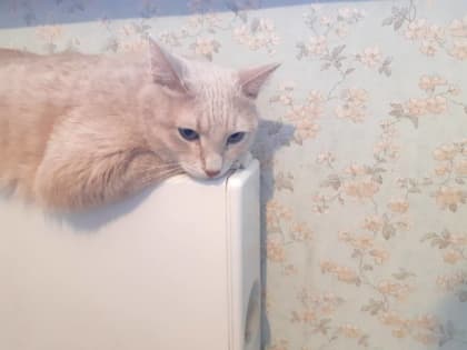 ​В Министерстве ЖКХ рассказали, когда включат отопление во всех домах Перми