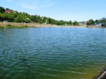 Из Мотовилихинского пруда в Перми вытащили захлебнувшегося ребёнка  