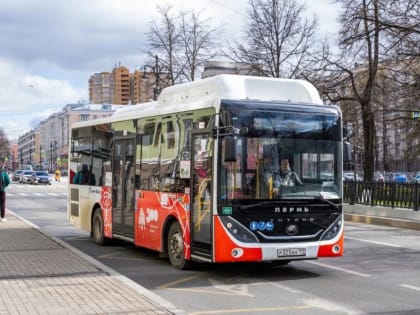 ​В Пермском крае мигрантам запретили работать водителями автобусов