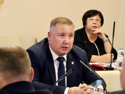 Региональный координатор партпроекта «Городская среда» Михаил Борисов выступил на фракции «Единой России» в Пермской гордуме