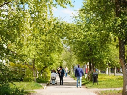 В голосовании за приоритетные проекты благоустройства на 2024 год приняли участие 255 тысяч прикамцев