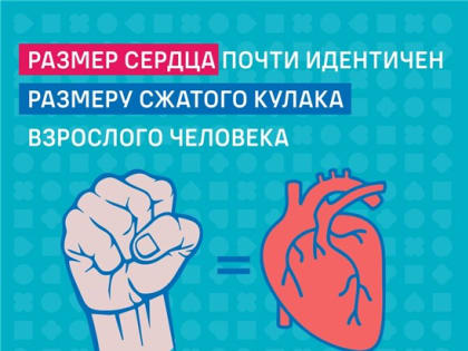 С 16 по 22 января 2023 года проходит Неделя профилактики хронических неинфекционных заболеваний.