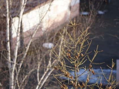 Синоптики рассказали, когда в Пермский край придет потепление