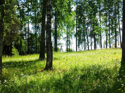 ​В Пермском крае самым жарким днем с начала года стало 5 июля